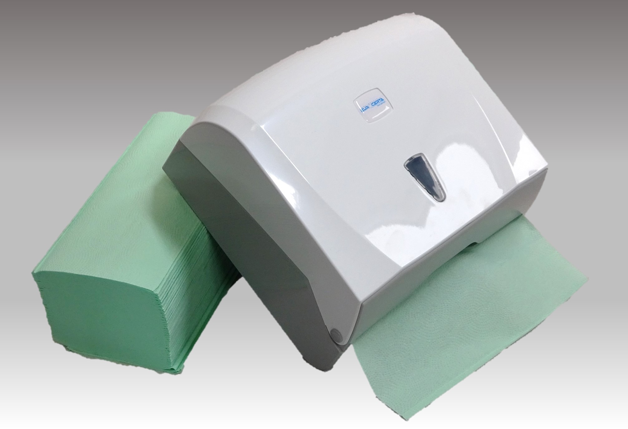 Papierhandtuchspender aus Kunstoff